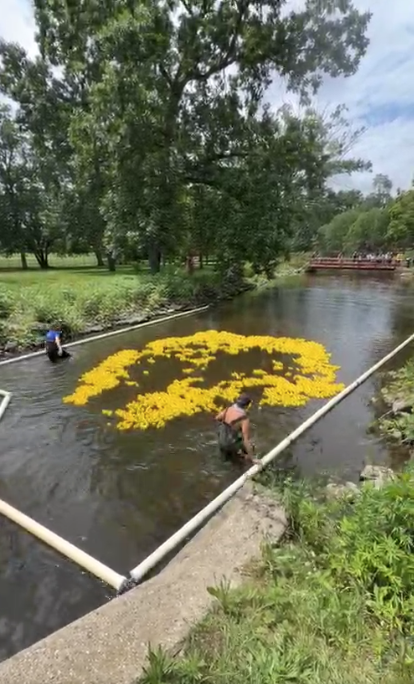 Duck Race Raises More Than $30,000 For Local Causes